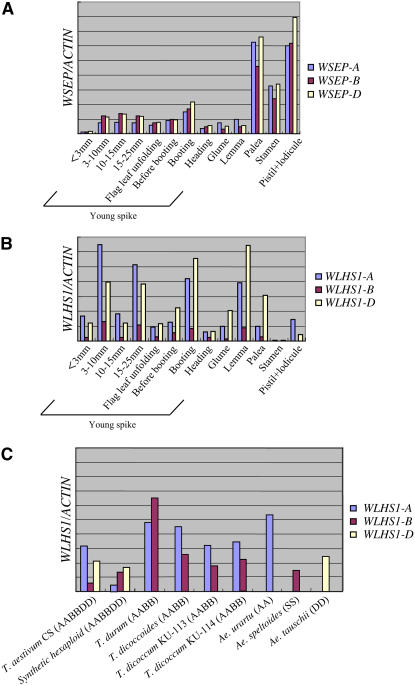 Figure 4.