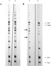 FIG 1