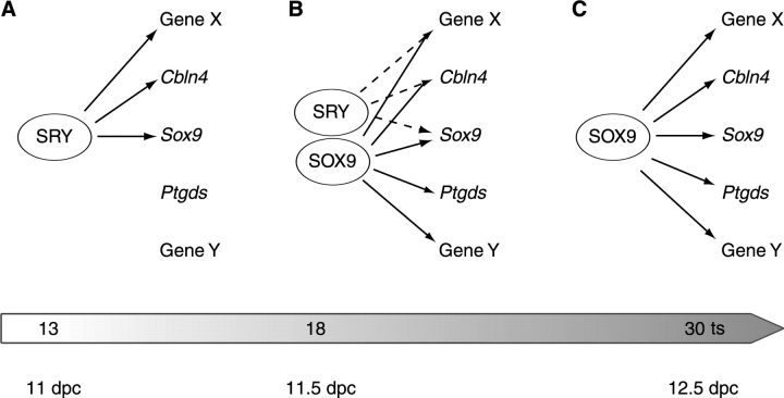 FIG. 8.