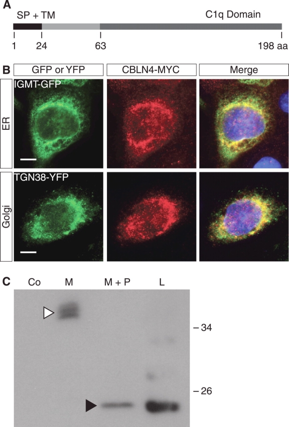 FIG. 4.