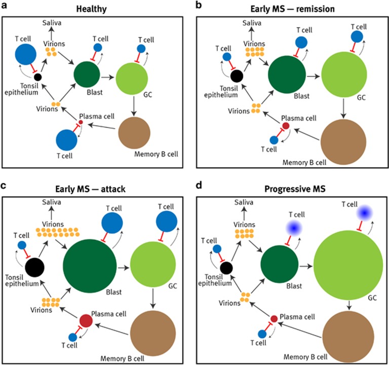 Figure 7