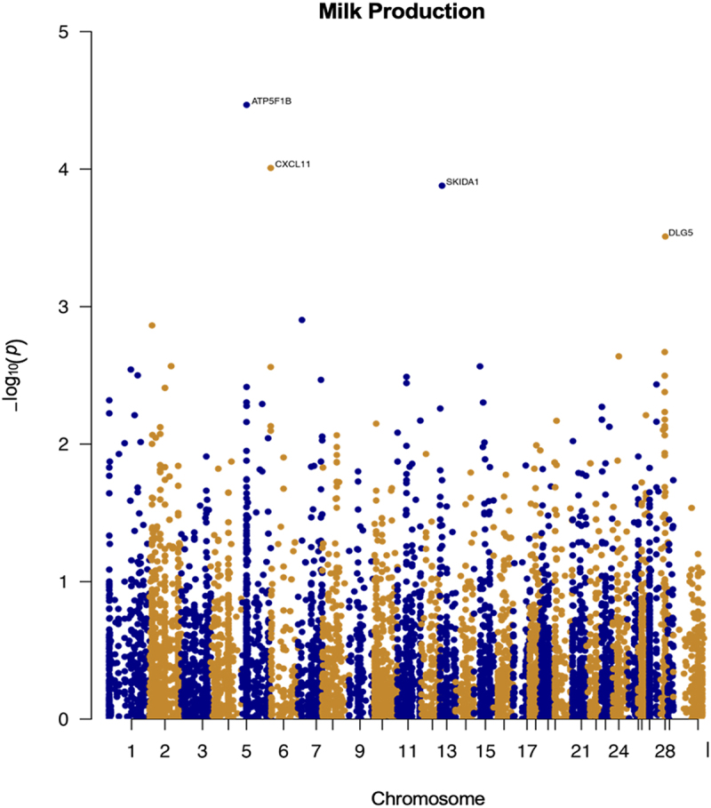 Figure 4.