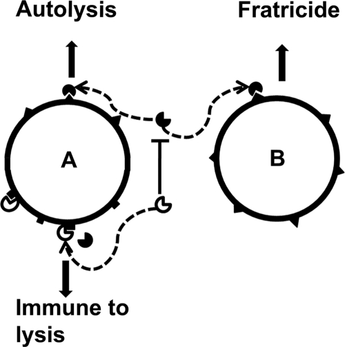 FIG. 8.