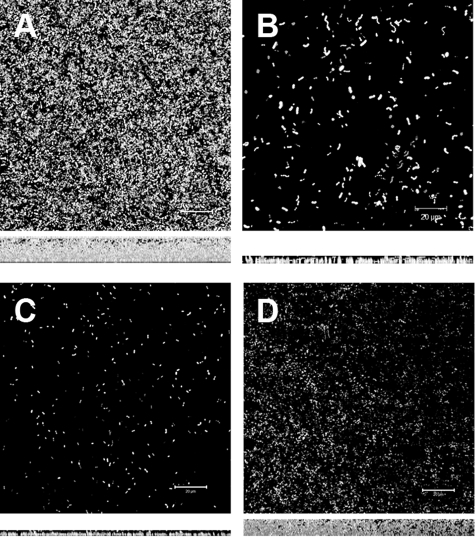 FIG. 7.