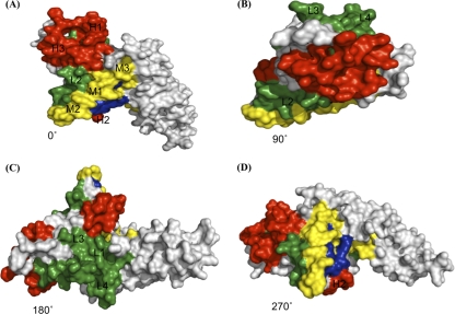 FIG. 3.