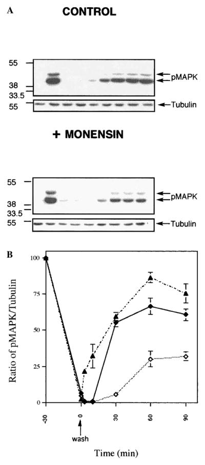 FIG. 6