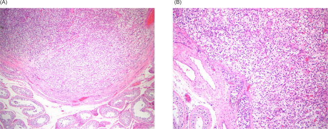 Figure 3: