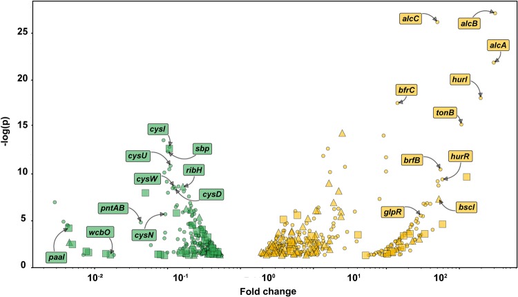 FIG 4