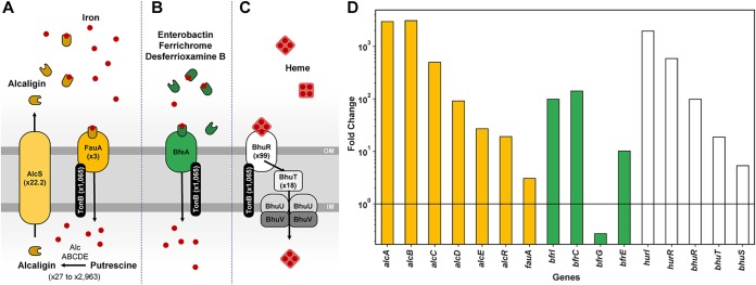 FIG 6