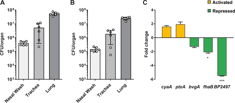 FIG 2