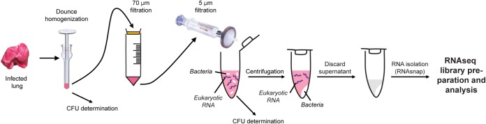 FIG 1