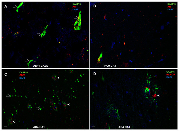 Figure 13