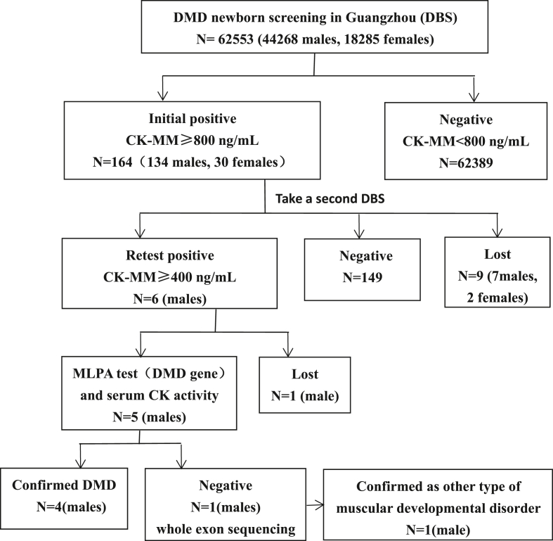 Figure 1