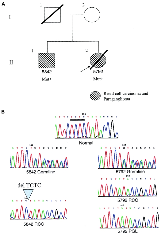 Figure  2