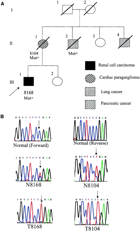 Figure  1