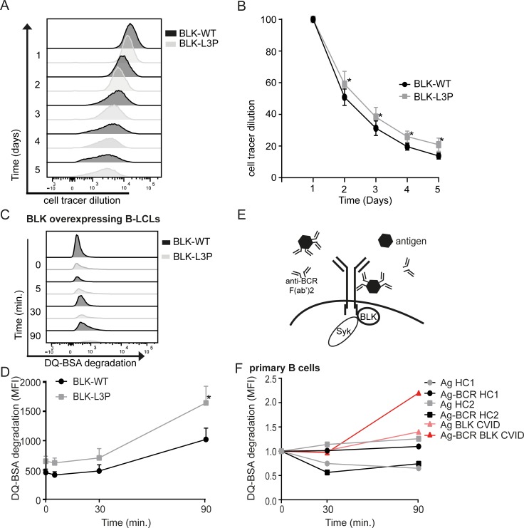 Fig.3