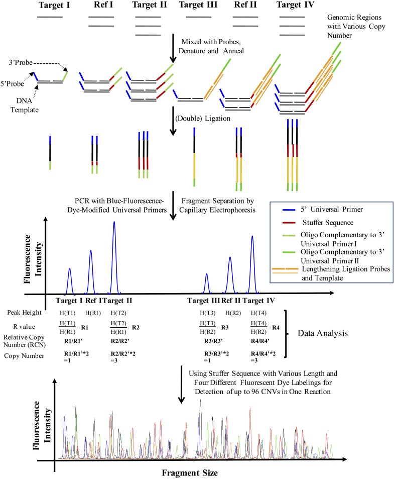 Figure 3—figure supplement 3.