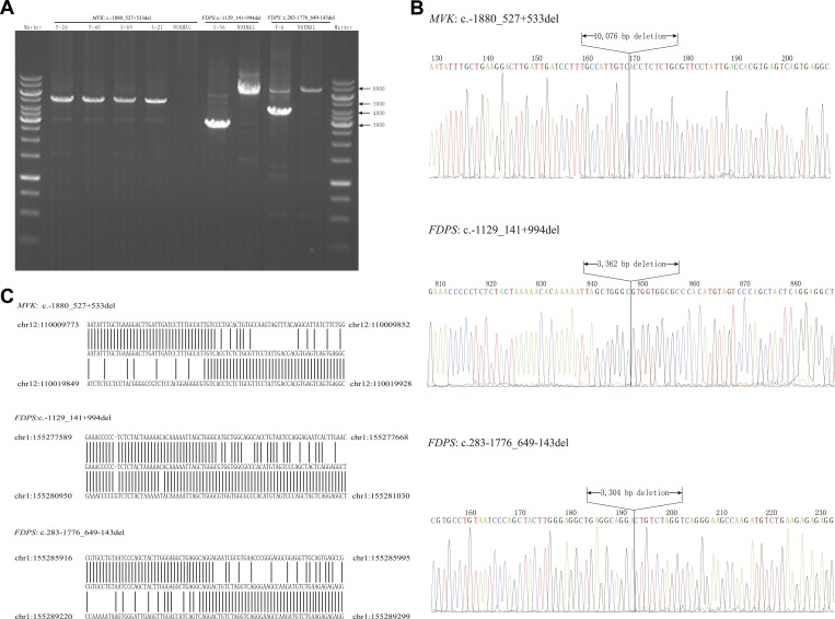 Figure 3—figure supplement 1.