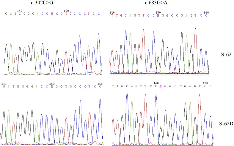 Figure 1—figure supplement 2.