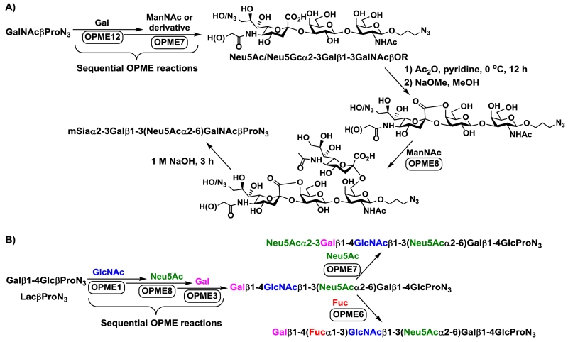 Fig. 10