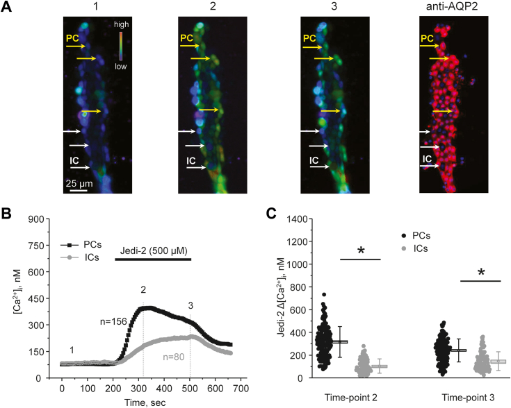 Figure 3