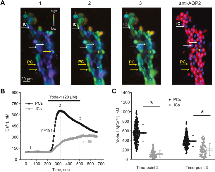 Figure 2