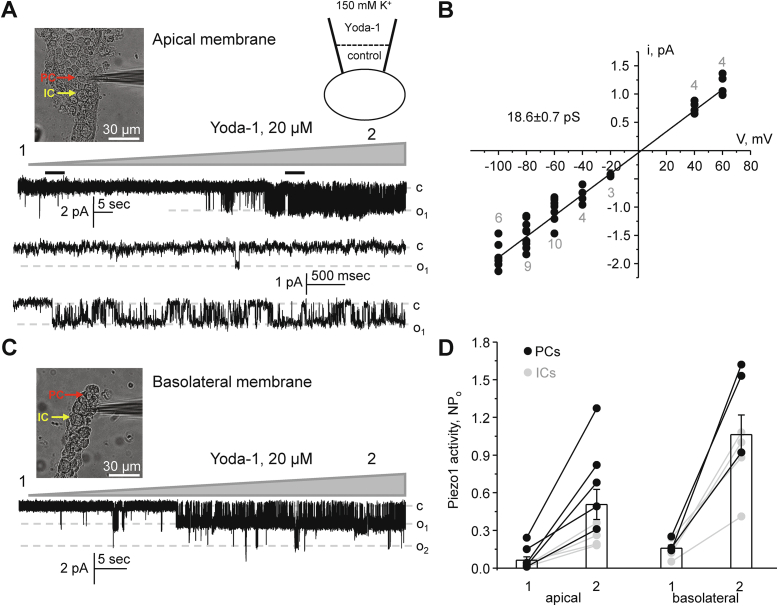 Figure 6