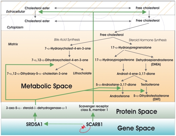 Figure 5