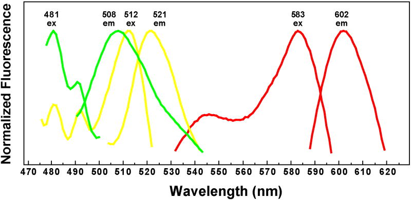 Figure 7