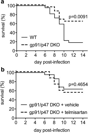 Fig. 12