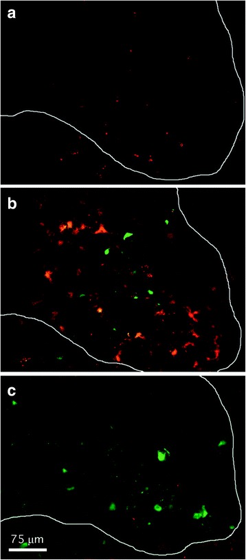 Fig. 9