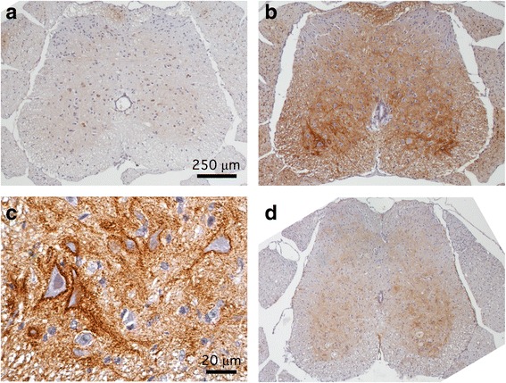 Fig. 10