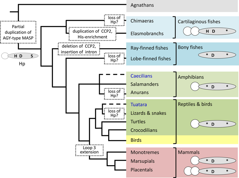 Figure 5: