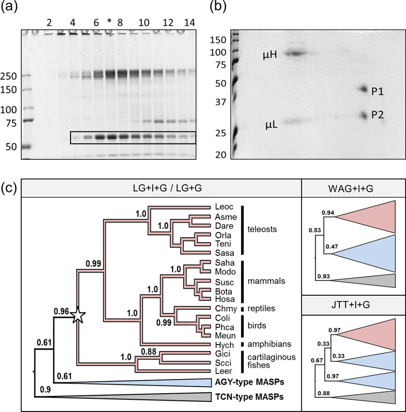 Figure 1: