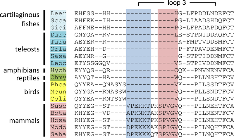 Figure 4: