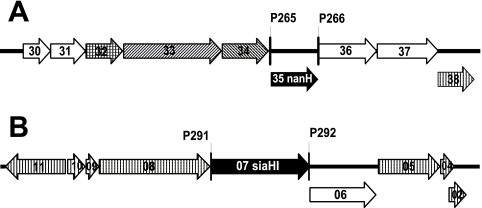 FIG. 1.