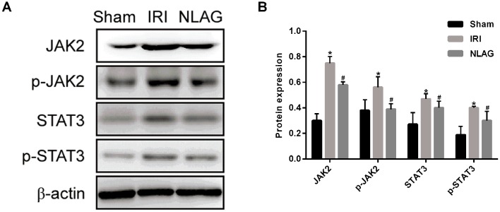 Figure 7.