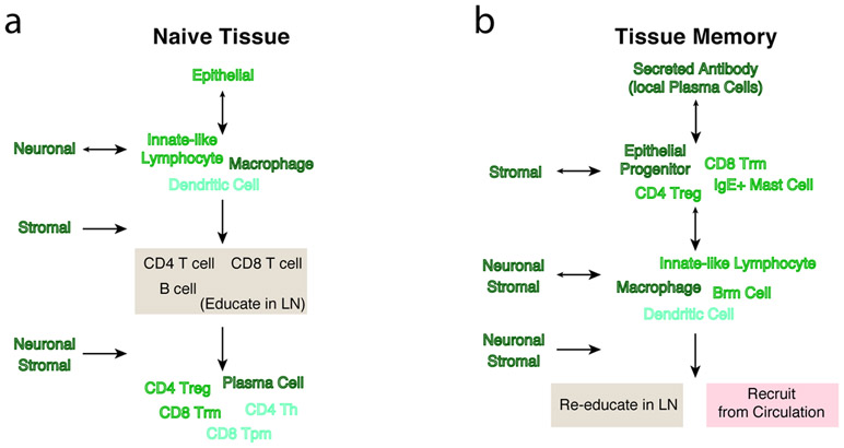 Figure 3 ∣