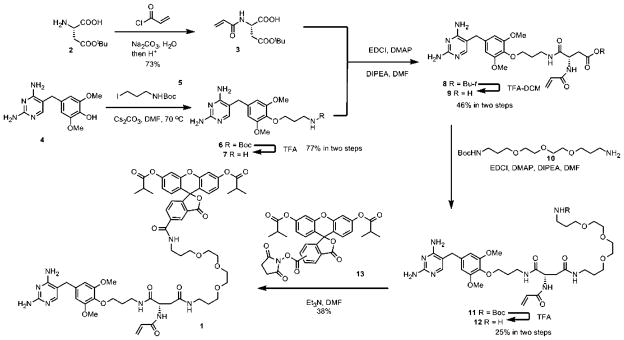 Scheme 1