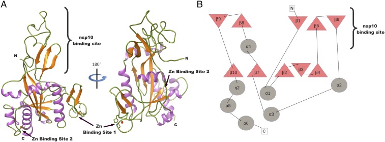 Fig. 2.