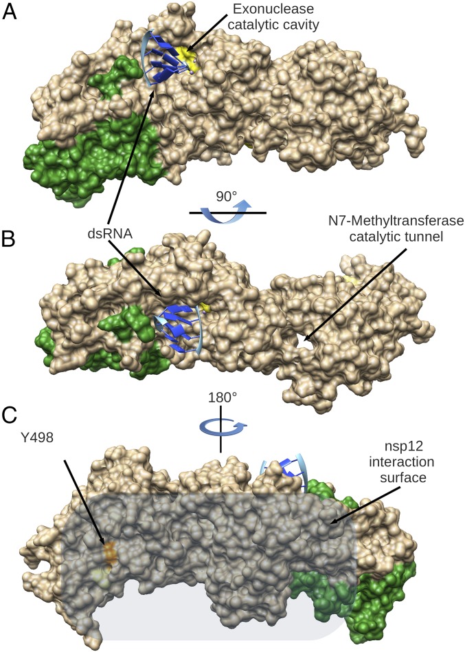 Fig. 7.