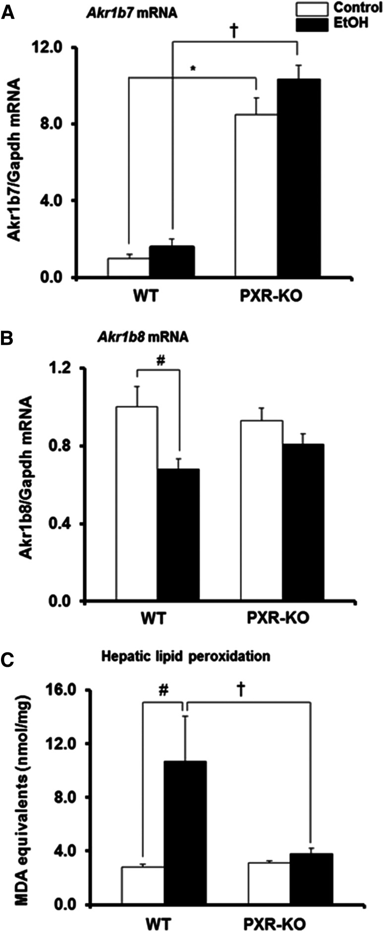 Fig. 8.