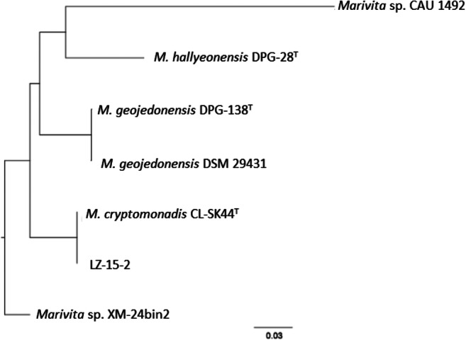 Fig. 7