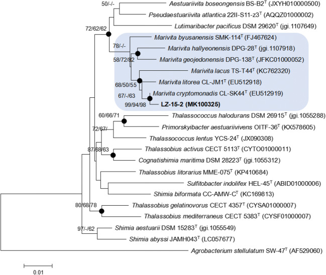 Fig. 2