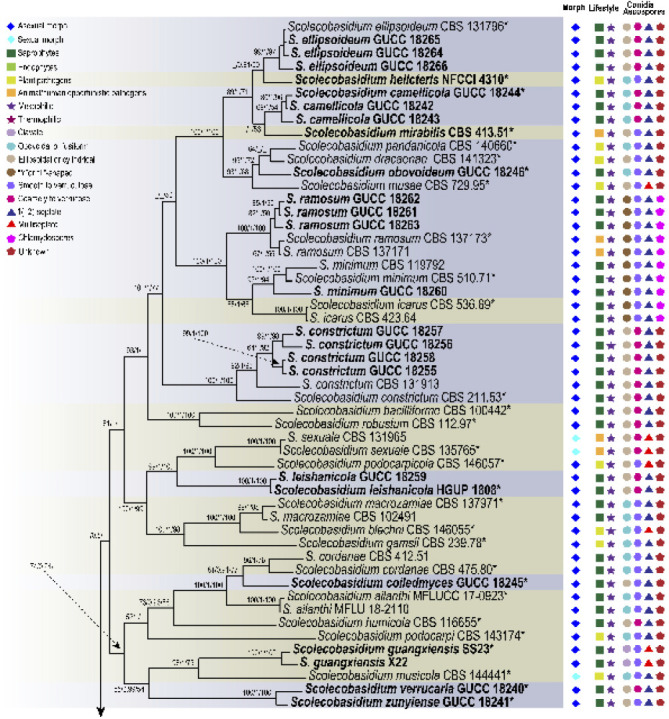 Fig. 2