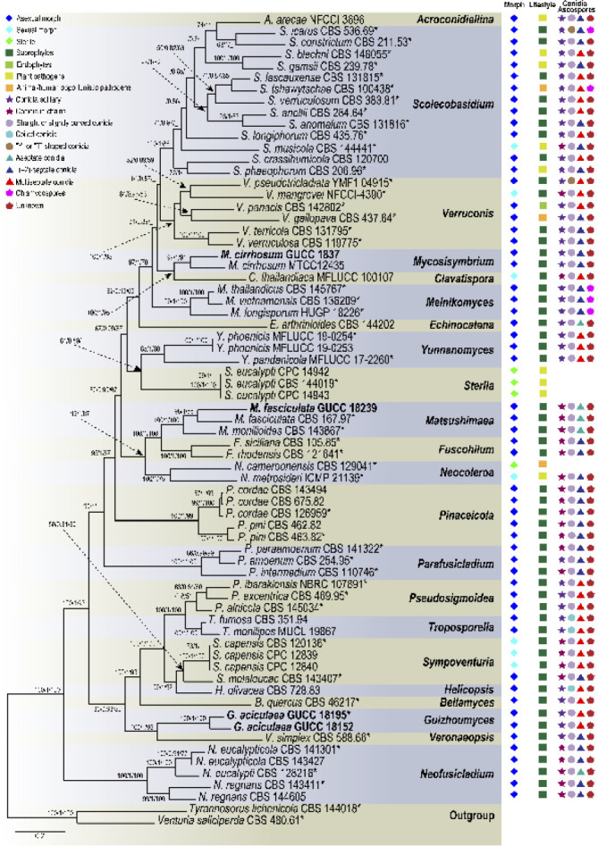 Fig. 1