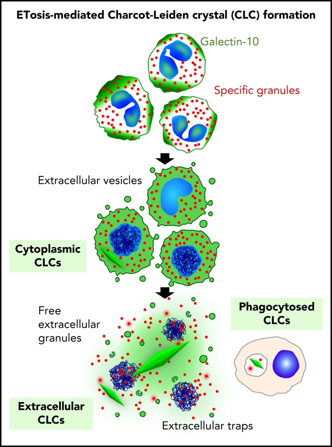 graphic file with name blood842260absf1.jpg