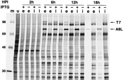 FIG. 6