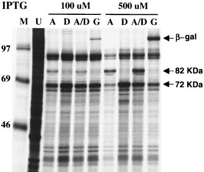 FIG. 7