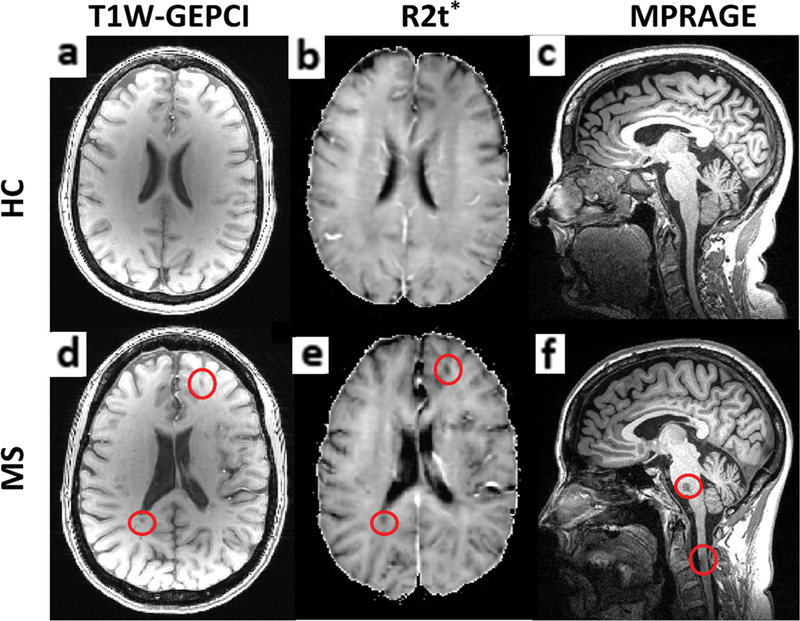 FIGURE 1: